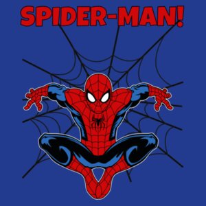 Spider-Man Design