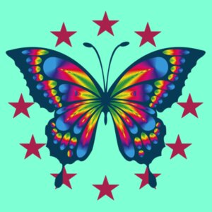 Butterfly/Stars Design