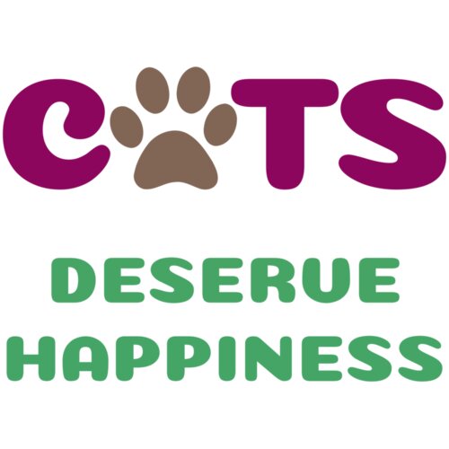Cats Deserve Happiness Thumbnail